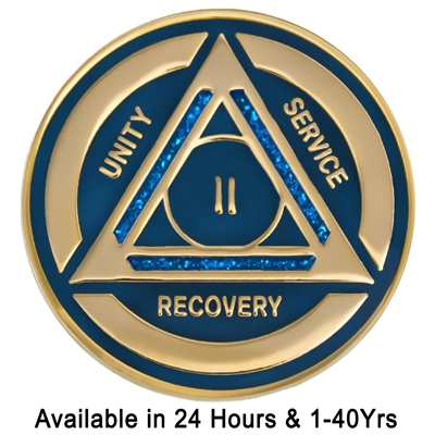  55 Year Bronze AA (Alcoholics Anonymous) - Sober / Sobriety /  Birthday / Anniversary / Recovery / Medallion / Chip : Office Products